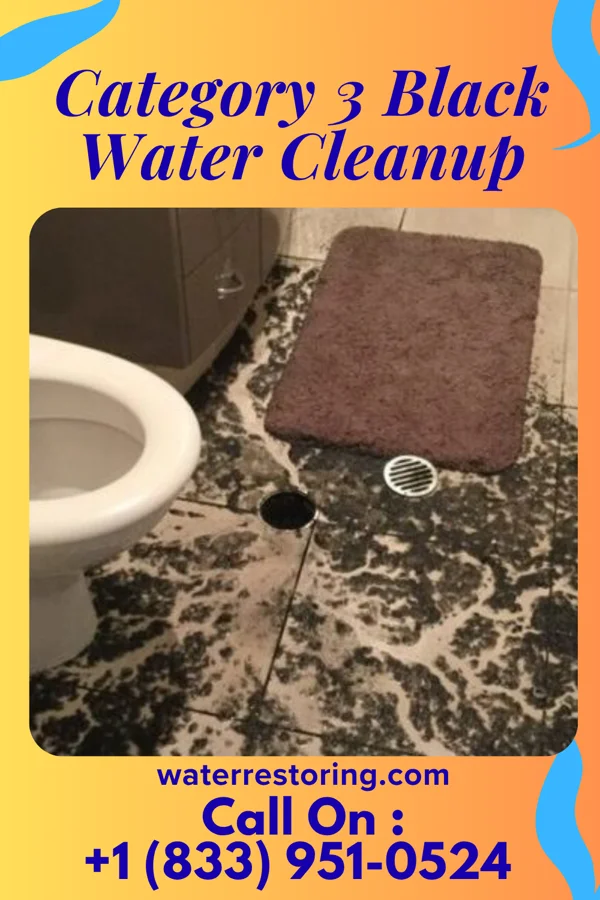 Category 3 Black Water Cleanup in Inkster, MI