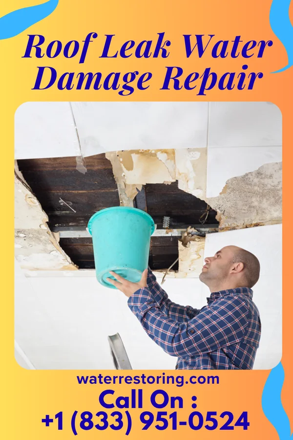 Roof Leak Water Damage Repair in Inkster, MI