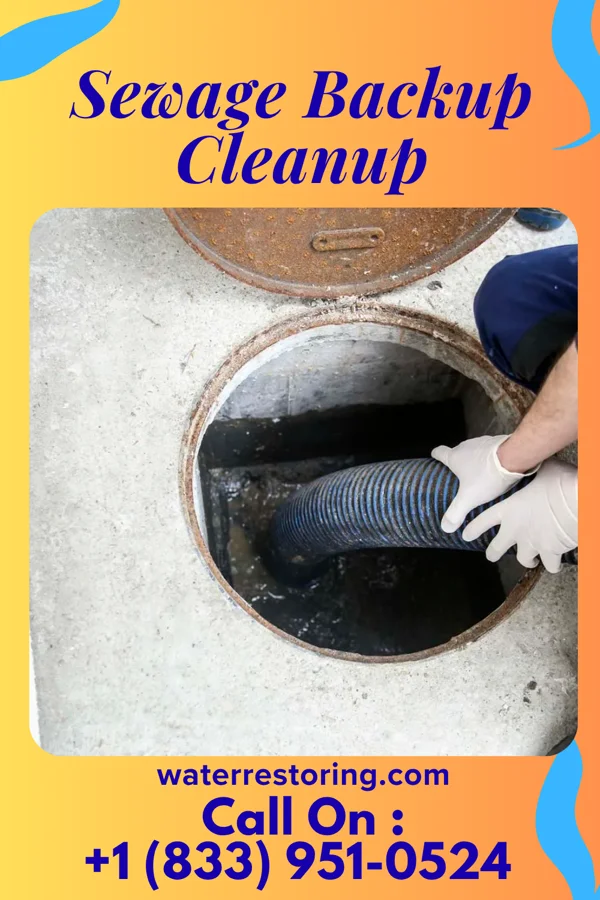 Sewage Backup Cleanup in Inkster, MI