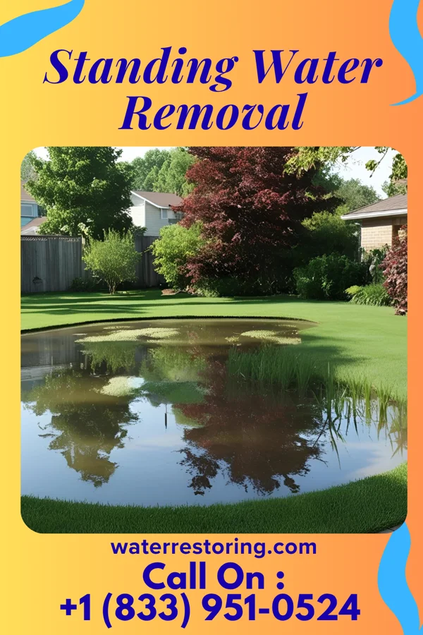 Standing Water Removal in Inkster, MI